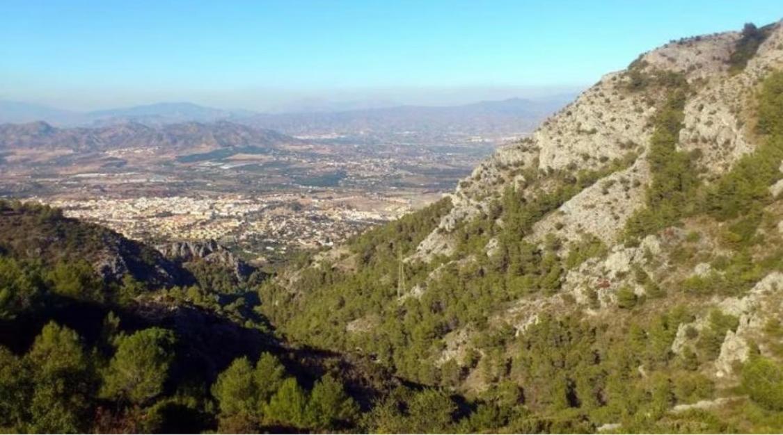 Apartamento Biznaga Alhaurin de la Torre Bagian luar foto